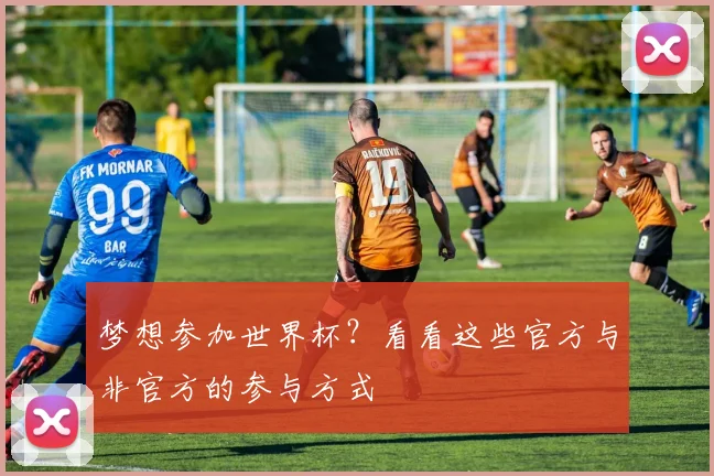 梦想参加世界杯？看看这些官方与非官方的参与方式