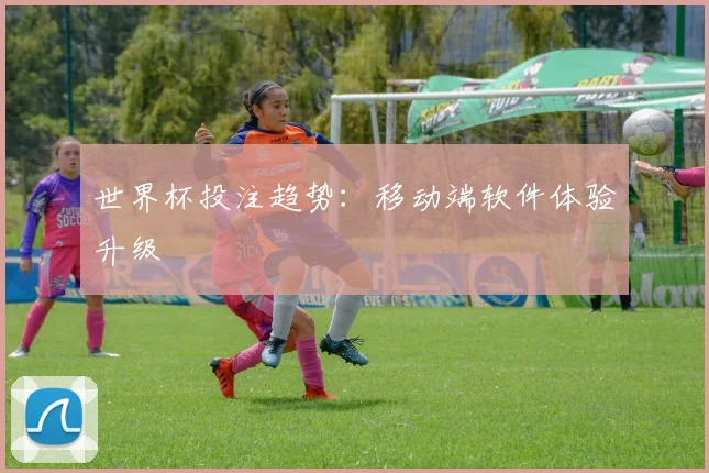 世界杯投注趋势:移动端软件体验升级
