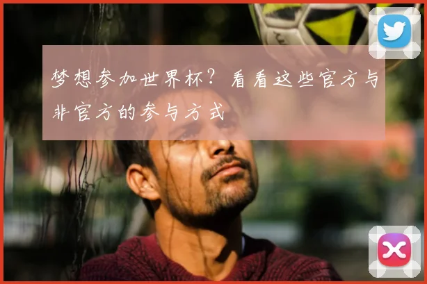 梦想参加世界杯?看看这些官方与非官方的参与方式