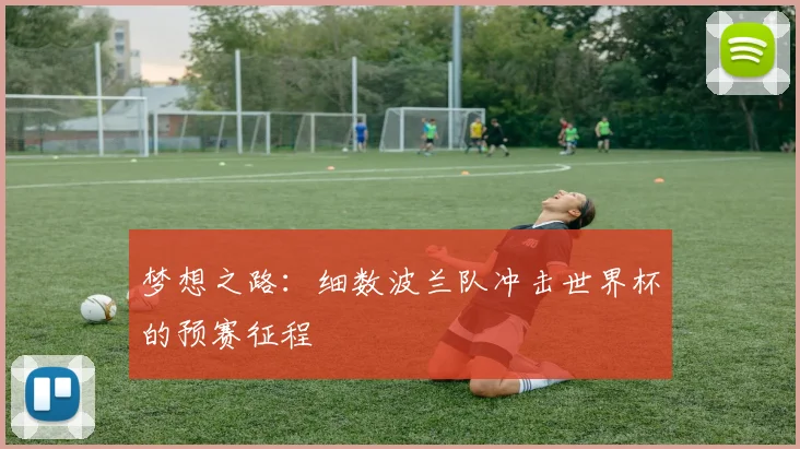梦想之路：细数波兰队冲击世界杯的预赛征程