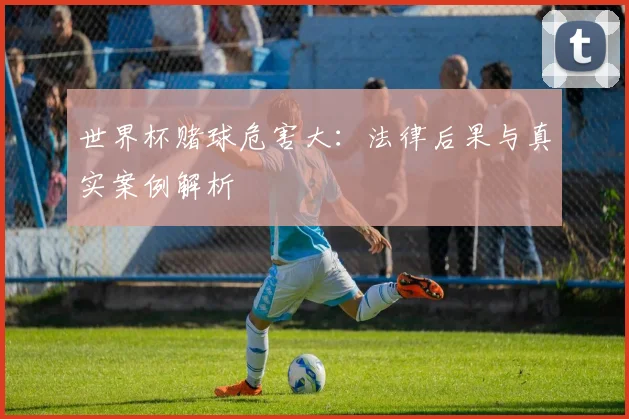 世界杯赌球危害大：法律后果与真实案例解析