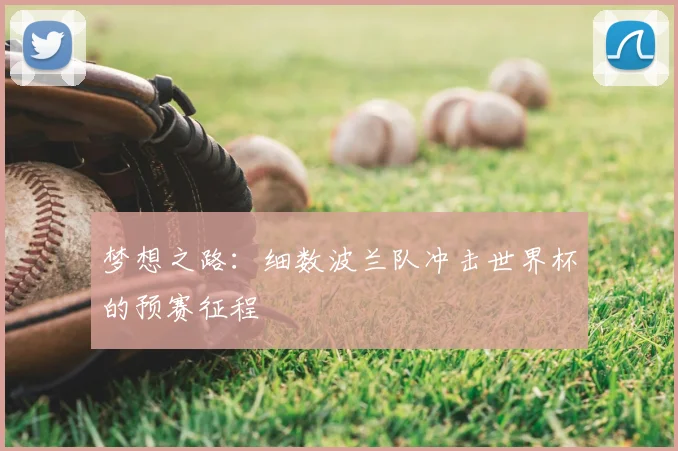 梦想之路：细数波兰队冲击世界杯的预赛征程