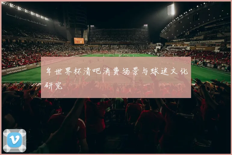 年世界杯清吧消费场景与球迷文化研究
