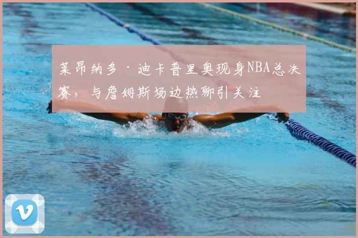 莱昂纳多·迪卡普里奥现身NBA总决赛，与詹姆斯场边热聊引关注