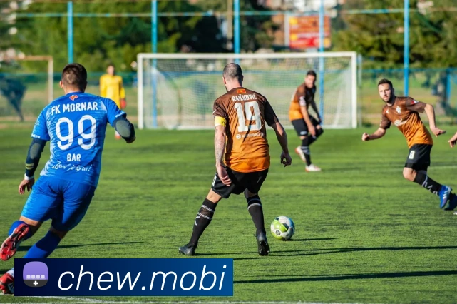 开云在线官方网站平台生态图